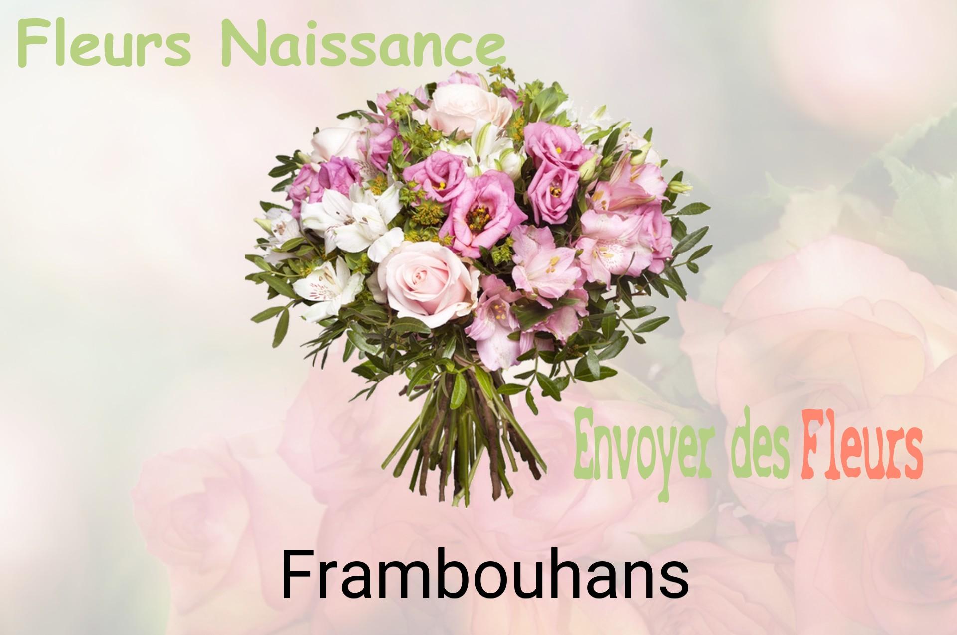 Bouquet de fleurs de naissance livré à Frambouhans